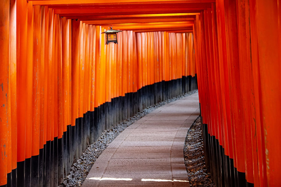 Authentisches Leadership - Führen aus der eigenen Wahrheit heraus