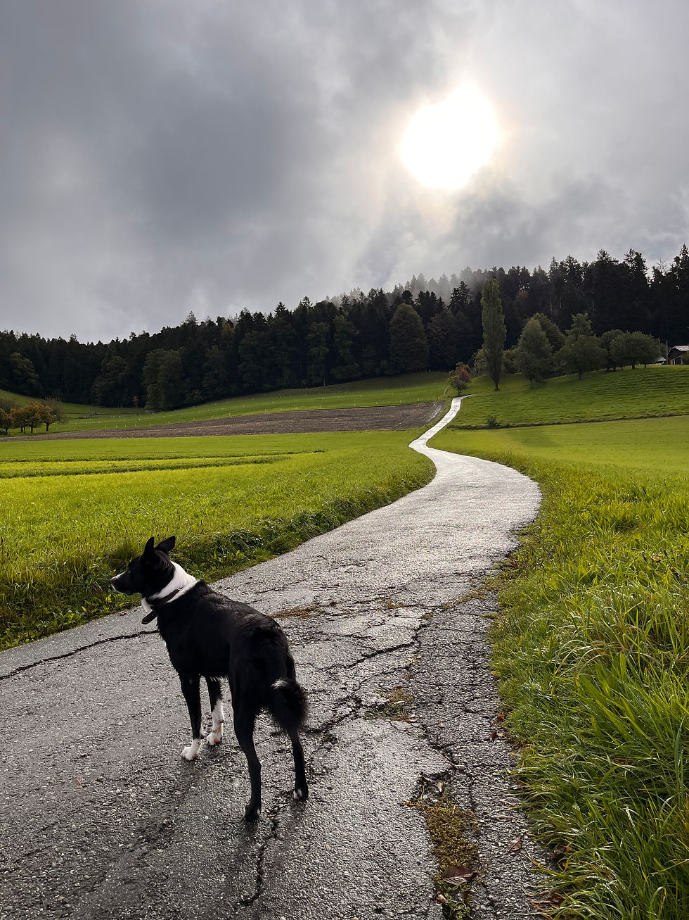 Eines bewölkten Tages auf einem Spaziergang