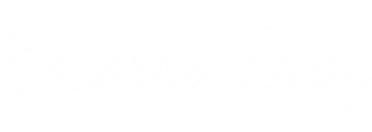 White_SD_Logo%20Cropped_edited.png