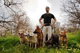 “Training often fails because people expect way too much of the animal and too little of themselves”