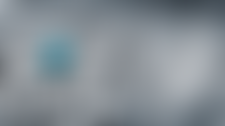 Reiser's Pieces: Captaincy in Commerce- Steering the Ship of Category Management through the Choppy Waters of Retail