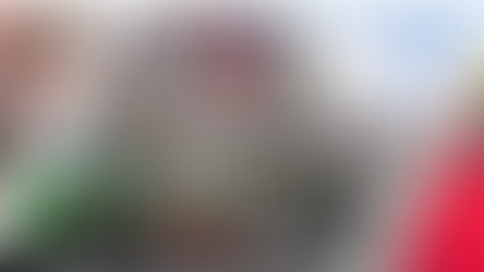 Dollar Tree Q1 Earnings Reports & Insights