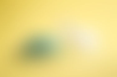 Reiser's Pieces: Go slow to go fast: The value of a solid GTM strategy