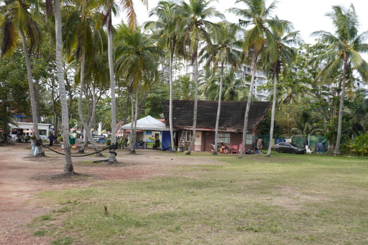 Camping Area at Seri Ratu Beachfront Campsite