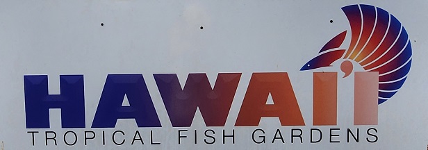 Hawaii Tropical Fish Gardens photo 1 in Mountain View