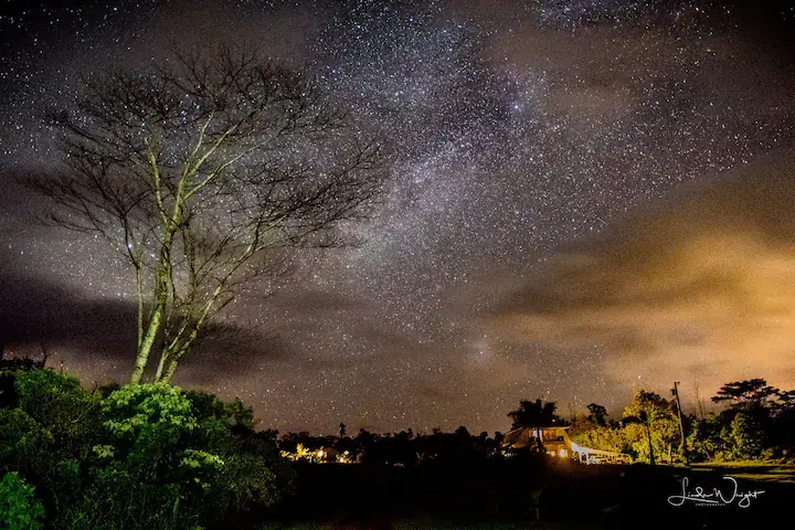 Puna Rainforest Retreat