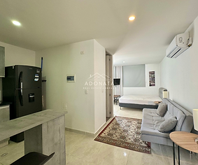 Apartaestudio Tayrona Towers - 1003