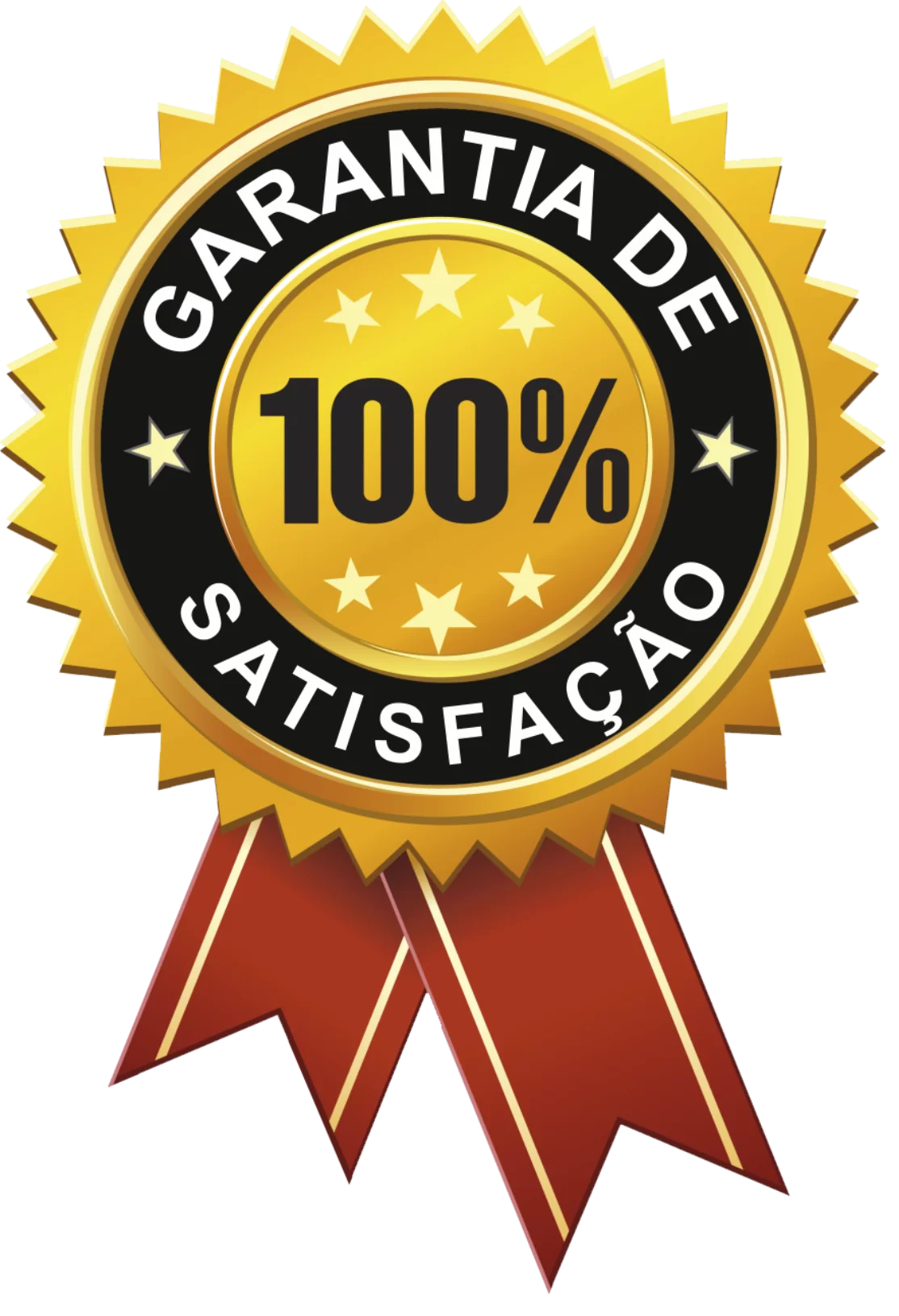 selo-de-qualidade-aprovado-png-6.webp