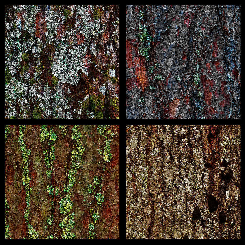 New Trunk Image Images from Nova Scotia