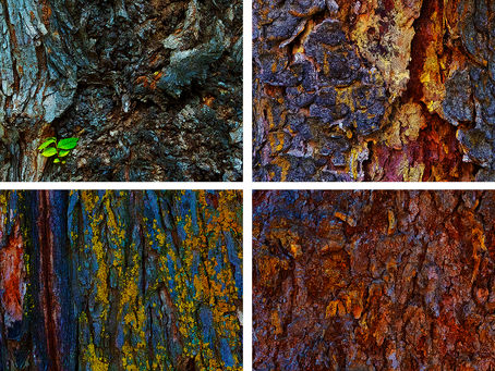 New Images from Alberta