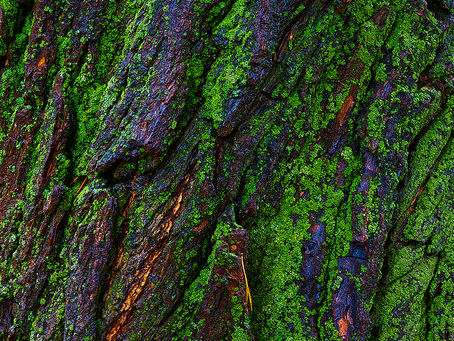 New Saskatchewan Image