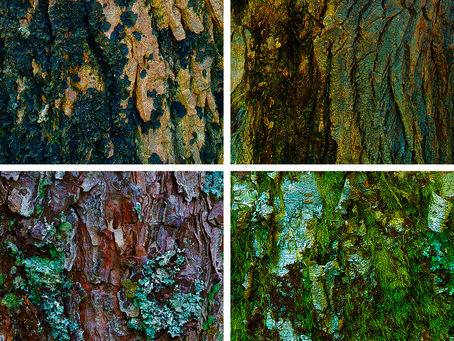 New Images from Nova Scotia