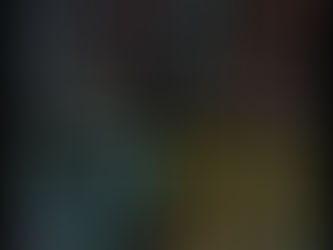 Nouvelles photos de troncs d'arbres du Yukon