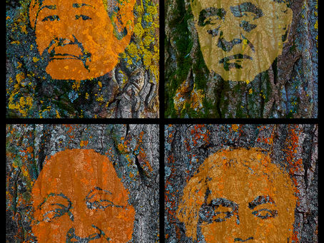 New Images from Alberta