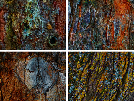 New Images from Alberta