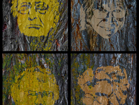 New Images from Alberta