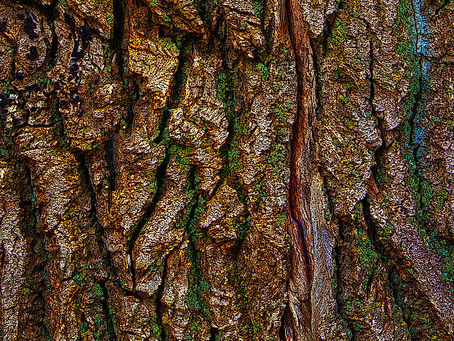 New Saskatchewan Image