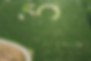 JZ Farms Maze Preston Ford.png