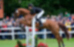 DSCF1290_edited.jpg