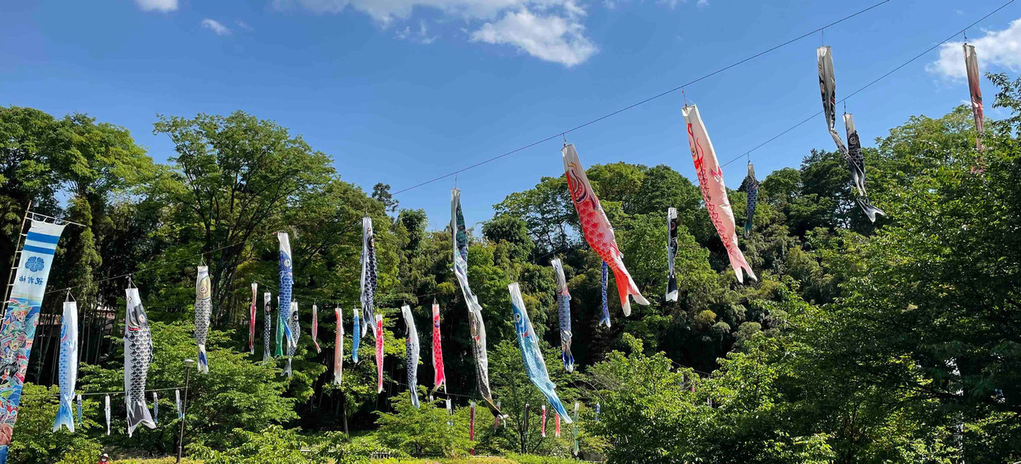 上谷戸親水公園４.jpeg