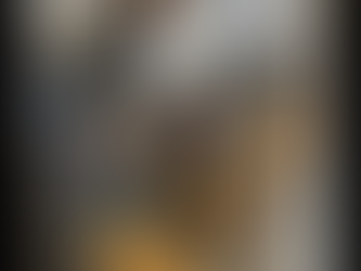 a dog doing K9 Nose Work with its owner