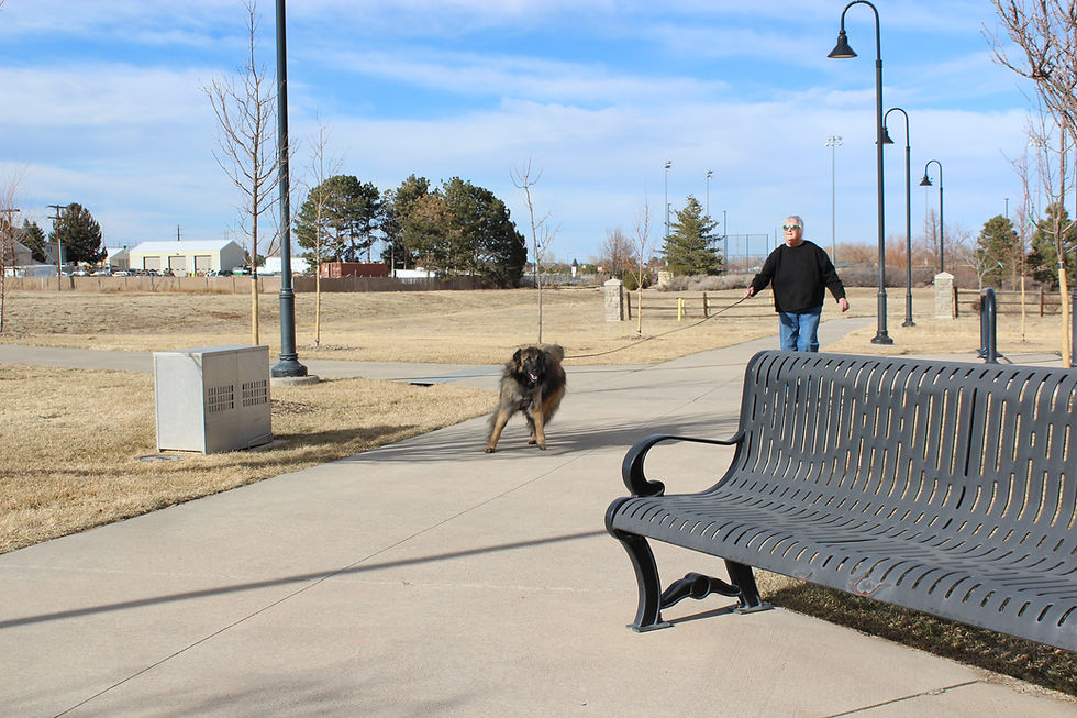 BMT Sleuth Dogs - August Canine Trailing Trial