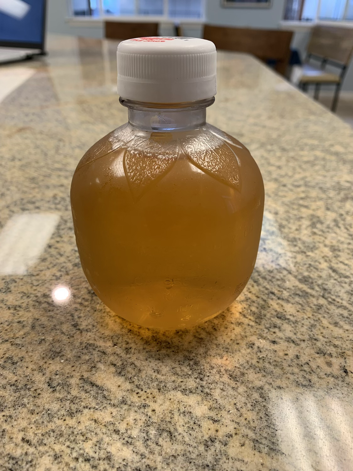 Apple Juice (Bottle) 