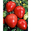 1.20€ le plant // 11€ les 10 plants et 0,95€ le plant à partir de 50 plants de tomates