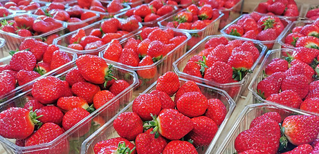 Fraise boutique jardin de la frolle 86300.jpg