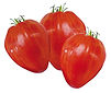 1.20€ le plant // 11€ les 10 plants et 0,95€ le plant à partir de 50 plants de tomates