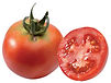 1.20€ le plant // 11€ les 10 plants et 0,95€ le plant à partir de 50 plants de tomates