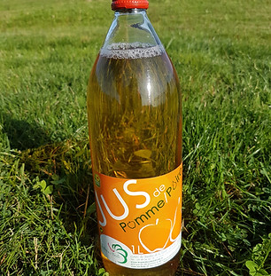 20190821_094527.jpg