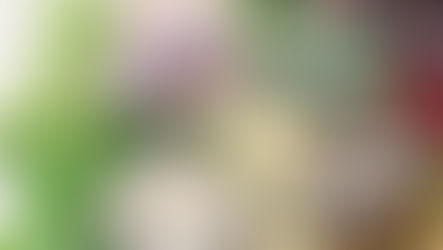 9 Food Safety Myths Busted for Good