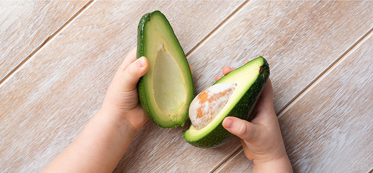 Avocadoes for children and within childcare centres