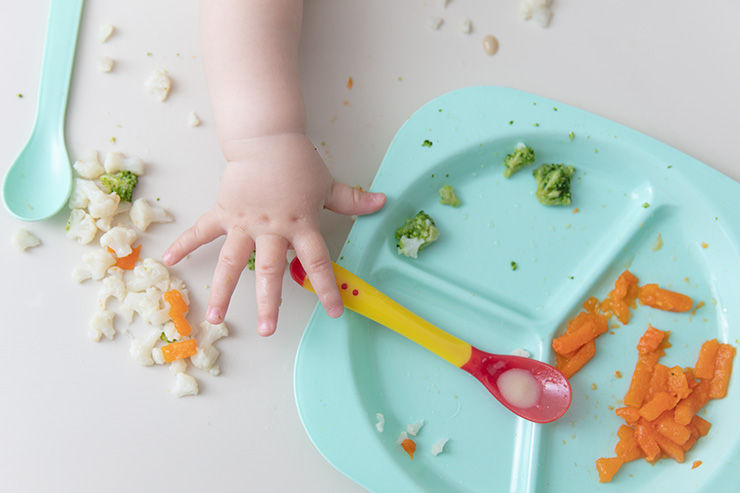 Balanced Bites for Little Kids [Video]