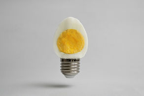 High energy high protein diets in the elderly