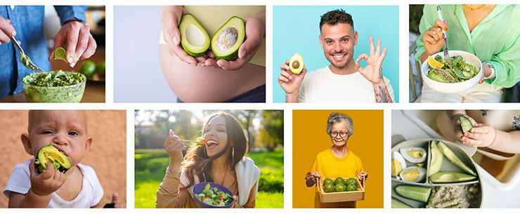 Avocadoes for all ages