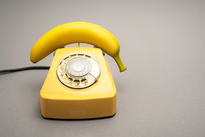 Telehealth appointment with a Dietitian