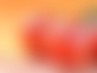 Is this a Fruit or a Vegetable?