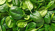 Spinach: The nutritional superfood that’s as mighty as it is green!