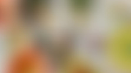 MMQAs: What to do, what not to do in 2026?