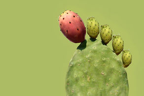 All about Gout!