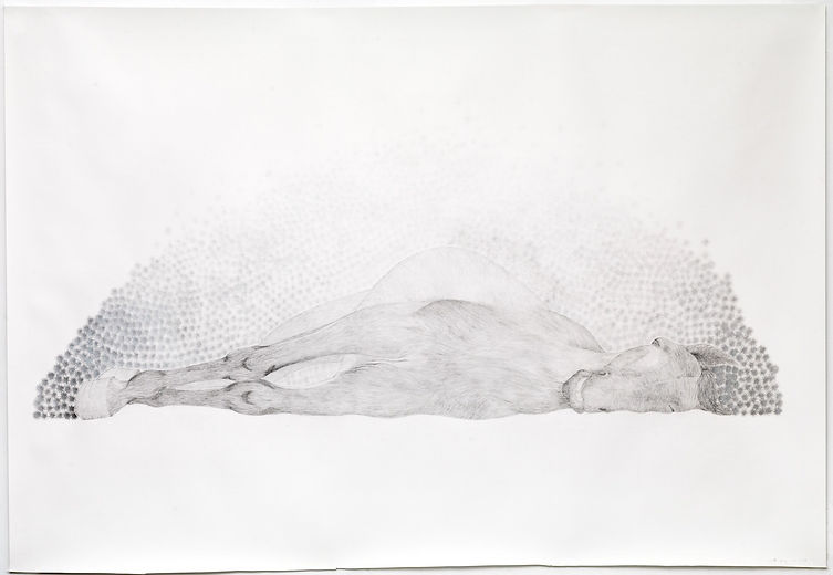 Geertrui van de Craats, Stilte, 250x 170 , 2021.jpg