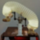 TURNING ON THE BASEMENT/ FLOAT