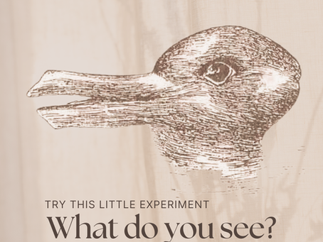 Duck-rabbit illusion drawing with the words try this little experiment, what do you see