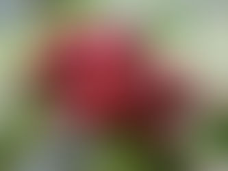 SWEET, CREAMY CARAMEL, MILK CHOCOLATE FROM 4,101 FEET