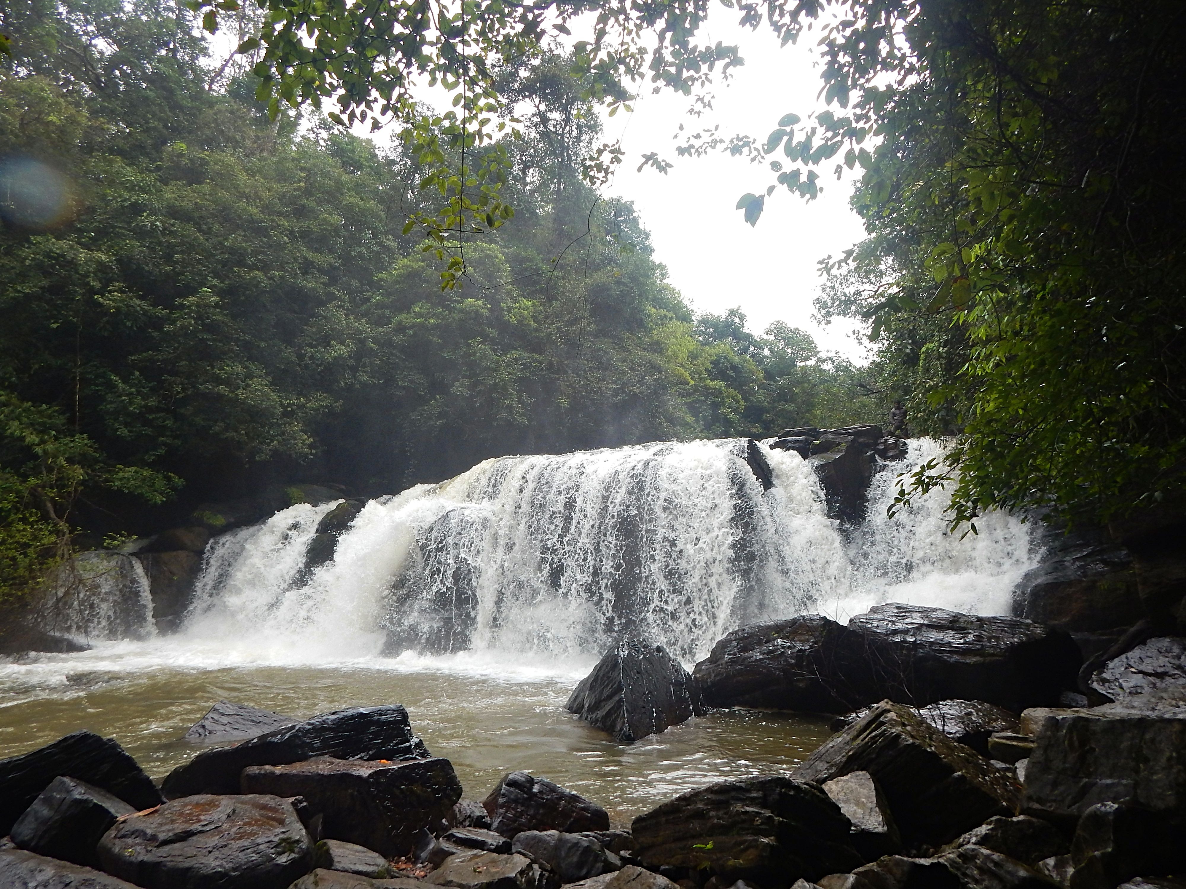 Mookanamane water fall