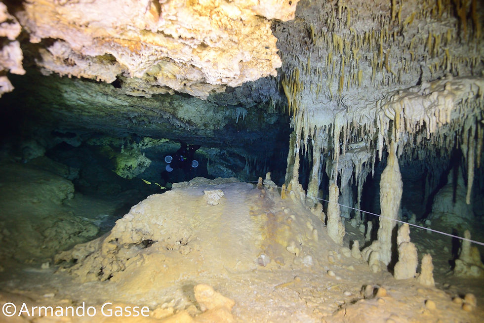 Cenote Concha 13 Abril 2021 AGS_5683
