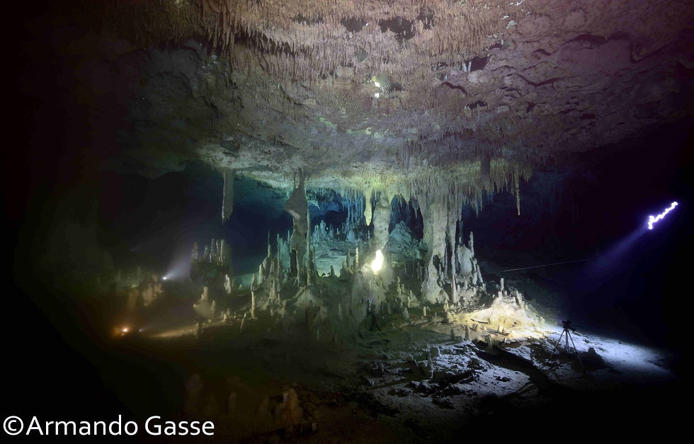 Cenote golondrinas iluminado AGS_1844