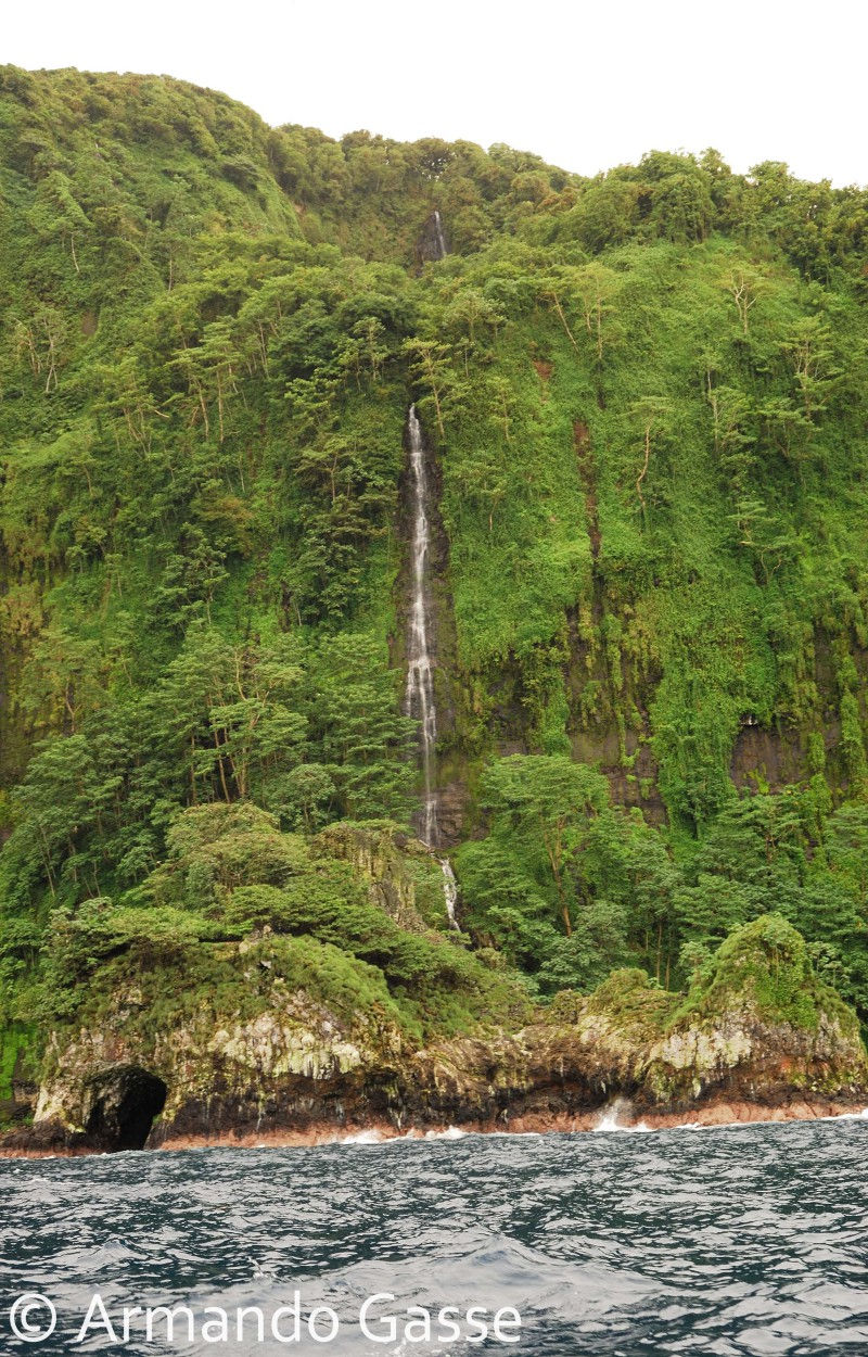 Isla de Cocos_0211.jpg